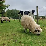 L' Epi De Blé