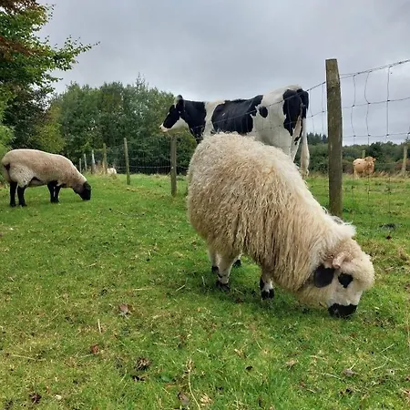 L' Epi De Ble, Sejour A La Ferme