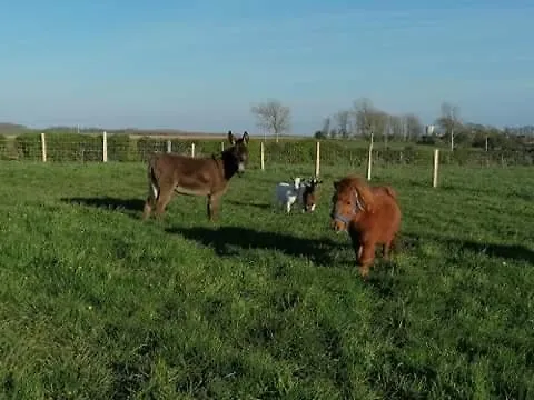 L' Epi De Blé * Lacres