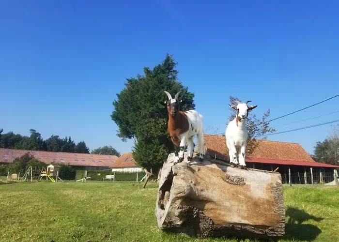 Hébergement de vacances L' Epi De Blé